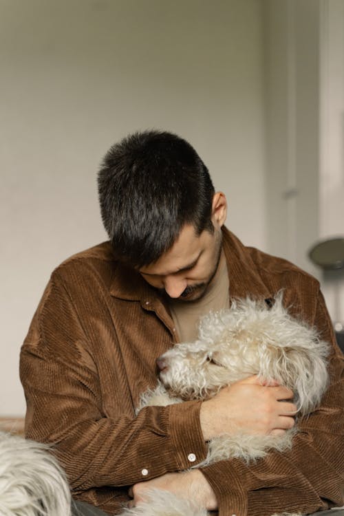 Fotos de stock gratuitas de abrazar, adentro, amante de los perros