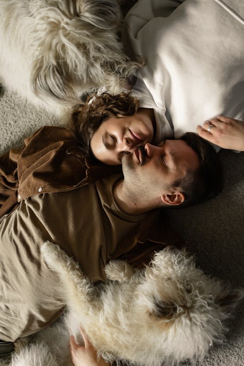 Free A Couple and Their Dogs Sleeping on the Floor Stock Photo