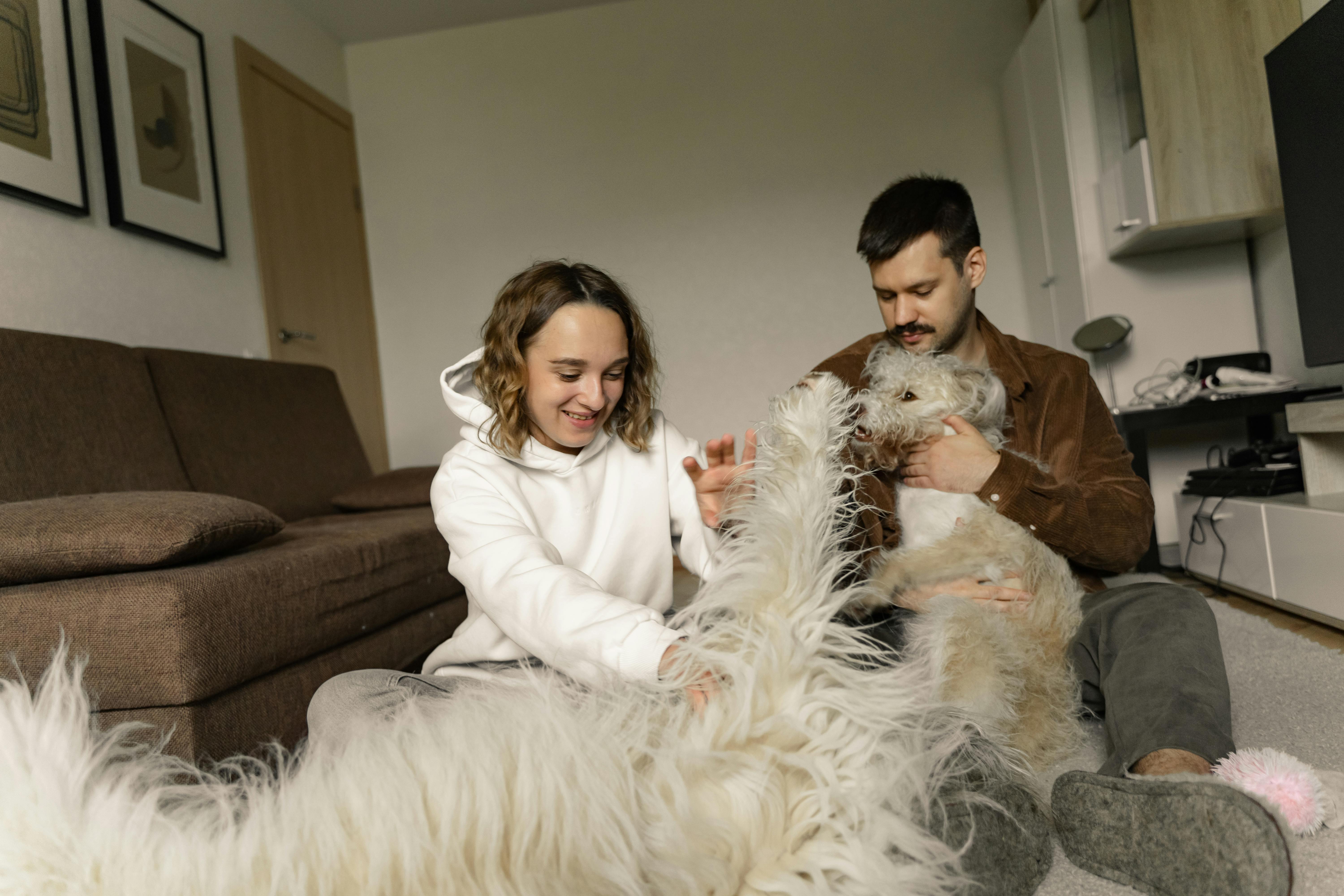 A Couple Playing with Their Dogs