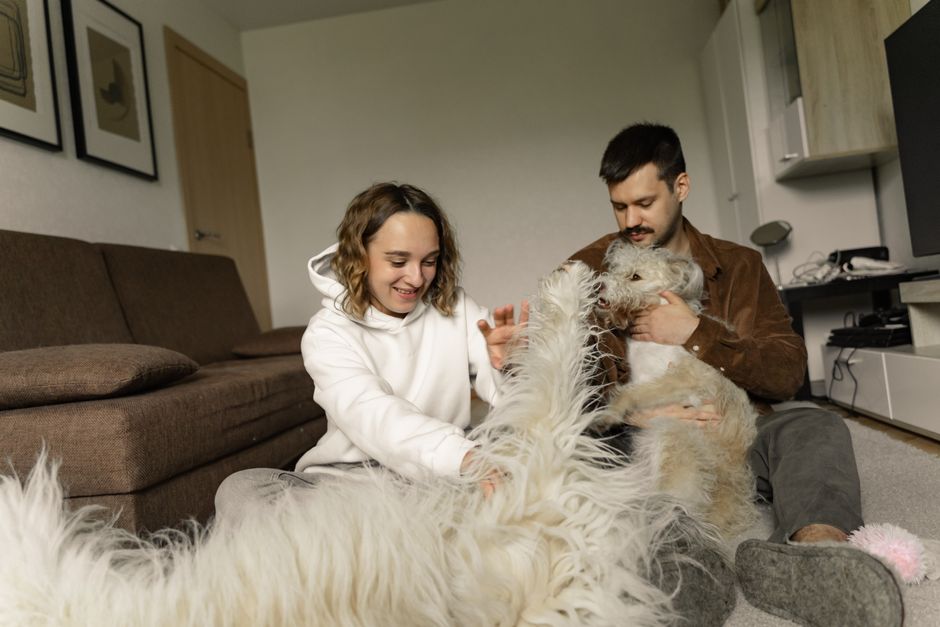These Washable Rugs Are a Game Changer for Pet Owners & They’re on Sale!