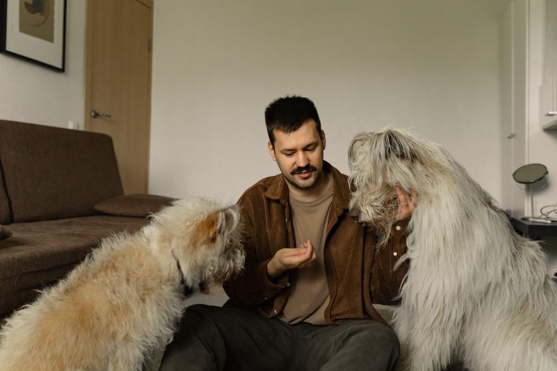 Man sitting at home with two fluffy dogs
