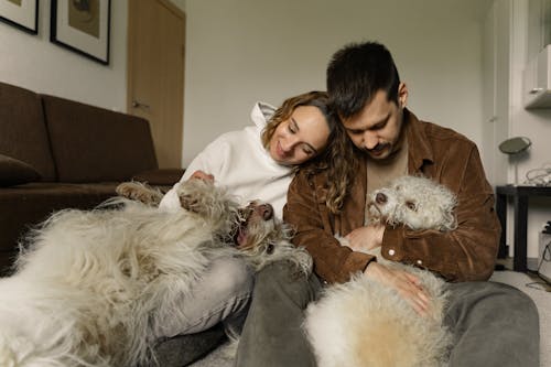 Free A Couple Sitting on the Floor and Playing with Their Dogs Stock Photo