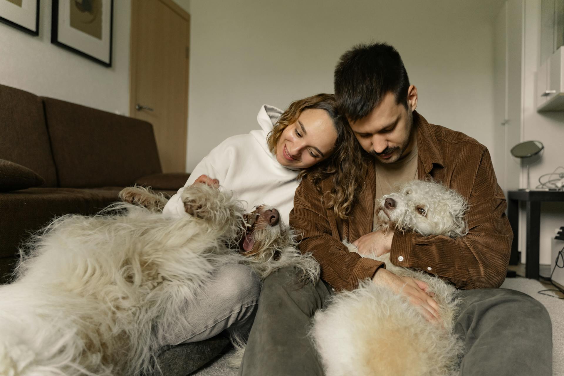 A Couple Sitting on the Floor and Playing with Their Dogs