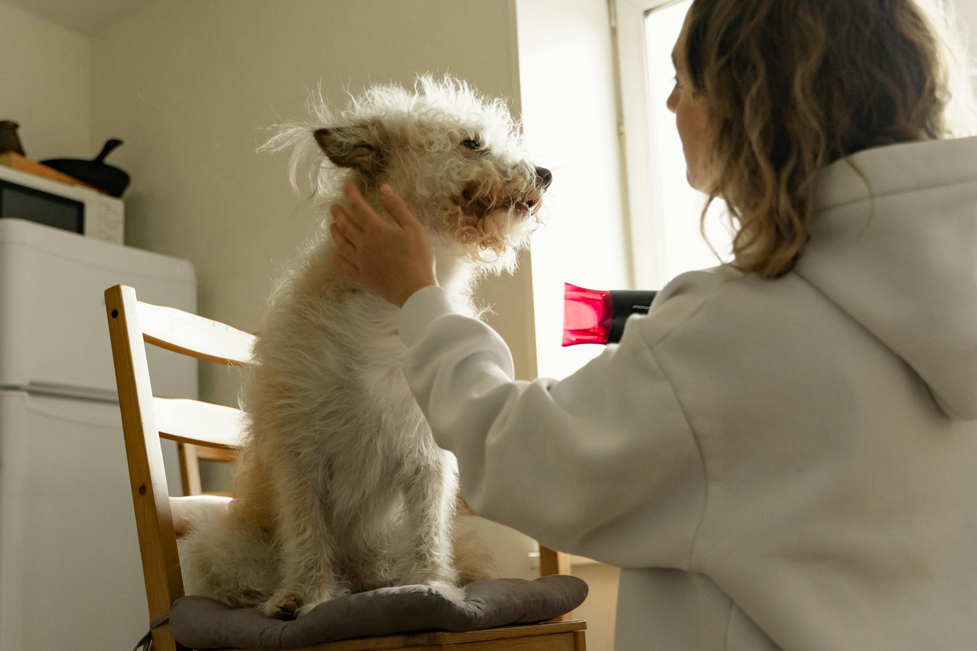 Woman Drying her Dog