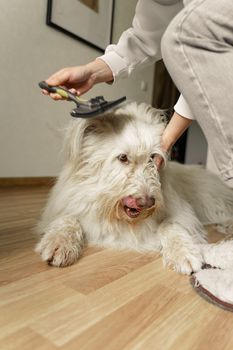 Maxpower Planet Pet Grooming Brush - Double Sided Shedding, Dematting (A1 Blue, Large)