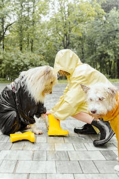 A woman helps dogs wear rain gear on a rainy day in the park.