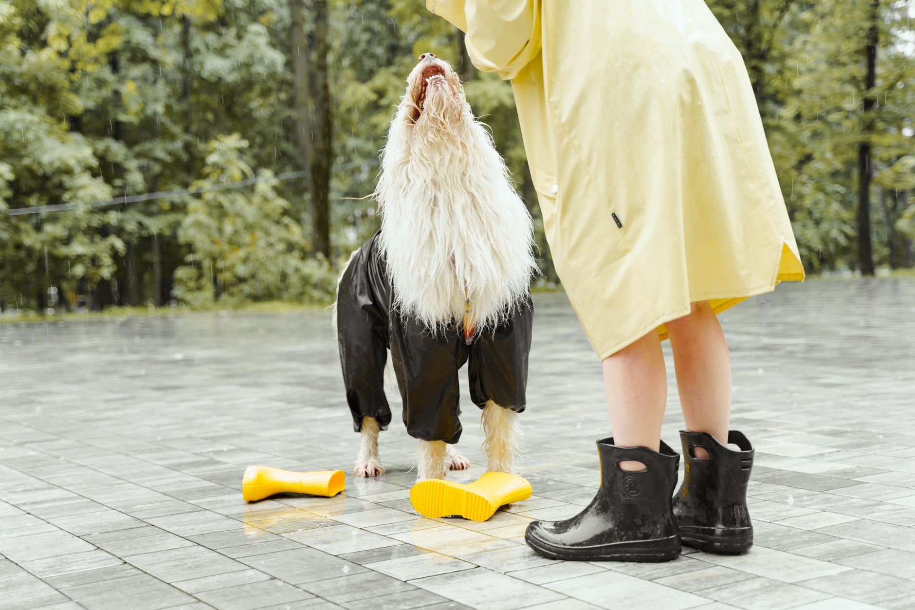 Waterproof Shoes for Nairobi Rains: Stay Dry All Season