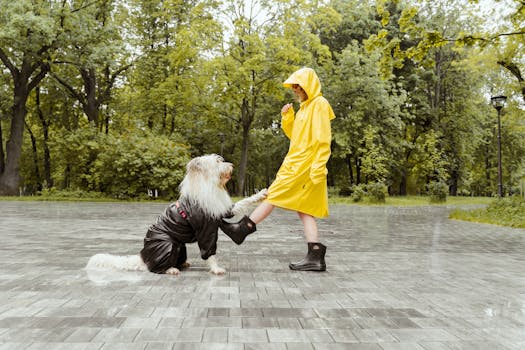 A person in a yellow raincoat plays with a dog on a rainy day in a park.