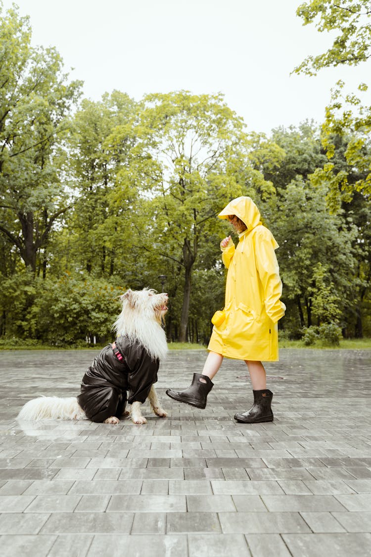 Woman Playing With Her Pet Dog