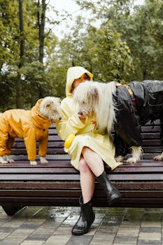 A woman in a yellow raincoat sits on a bench with two dogs in raincoats during a rainy day.