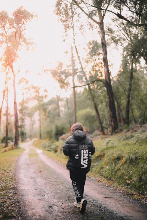 Free Person in Black Winter Jacket and Black Pants Walking on a Narrow Pathway Stock Photo