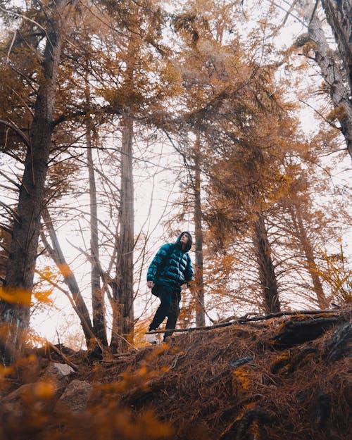 Man in Blue Jacket Walking in the Forest