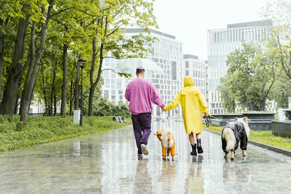 walking in the Rain