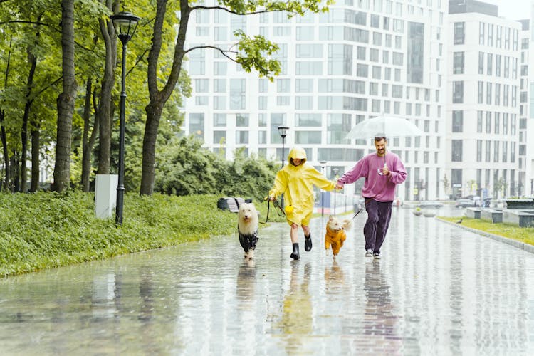 Couple Running In The Park While Holding Hands 