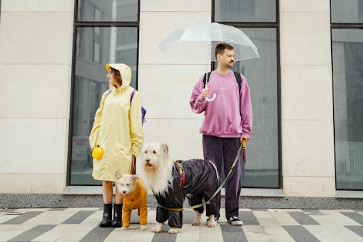 Couple with dogs in raincoats standing outside in the rain under an umbrella.