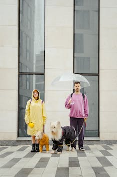 A couple with two dogs in matching raincoats stands outside a building in rainy weather.