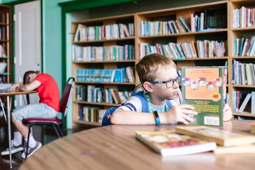 A Boy Reading a Book