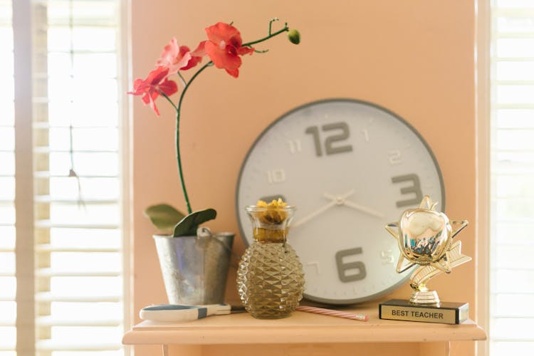 Photo Of A Trophy On Hanging Shelf