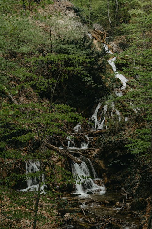 Free Green Trees on Mountain with Waterfalls  Stock Photo