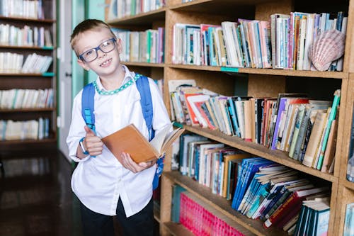 Fotos de stock gratuitas de aprendiendo, biblioteca, chaval