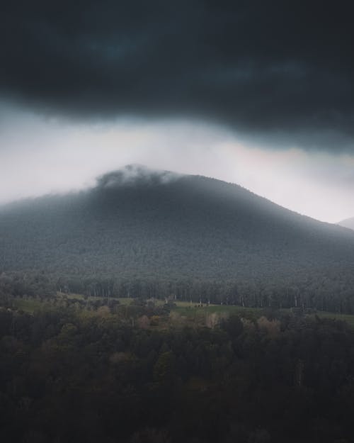 Green Trees and Mountain Under White Clouds