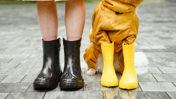 A person and a dog in rain boots, showcasing companionship on a rainy day.