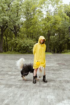 A person in a yellow raincoat walking a dog in a rainy outdoor setting.