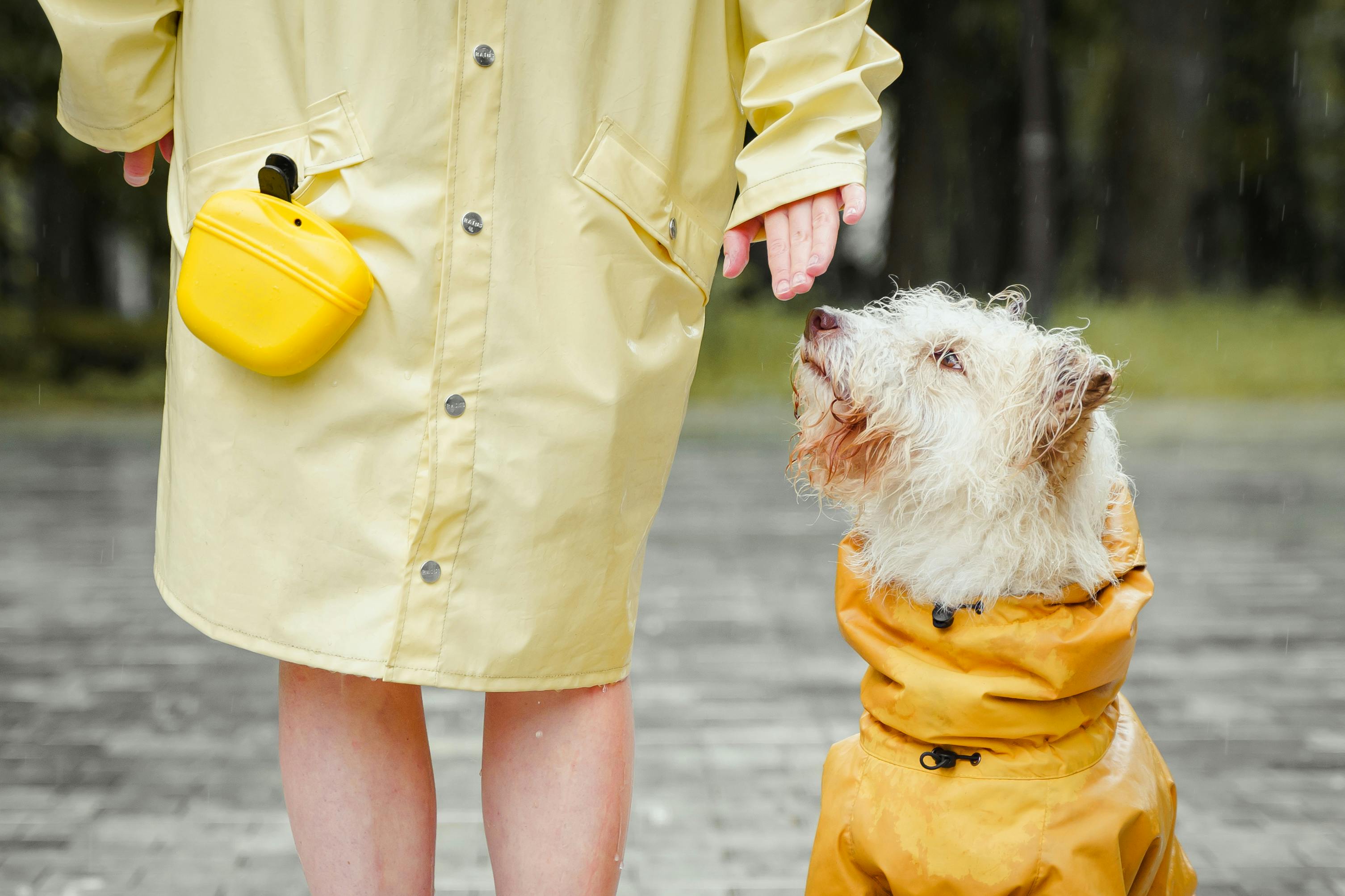 person standing beside her pet dog