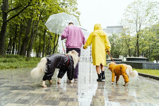 A couple strolls through a rain-soaked park with two dogs in raincoats, creating an urban rainy day scene.