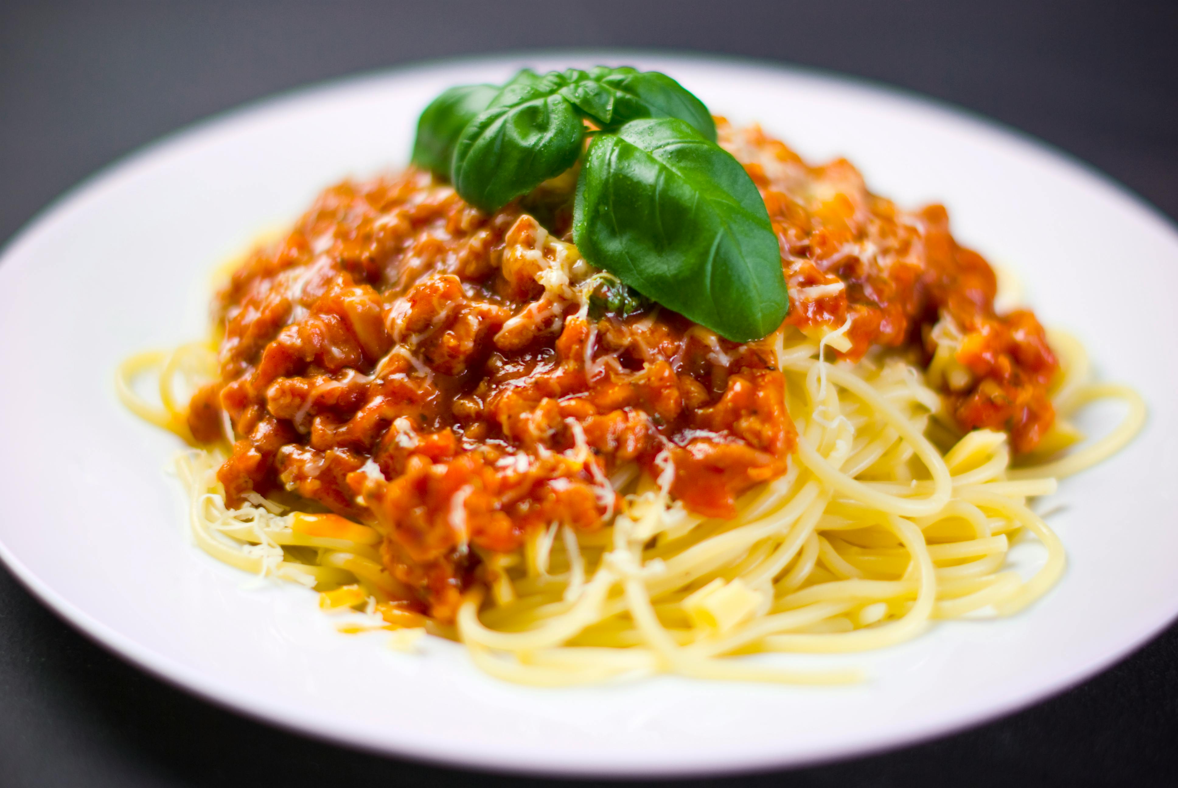 spaghetti-on-white-plate-free-stock-photo