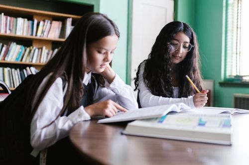 Free Two teenage students studying in a bright library room, focusing on learning materials. Stock Photo