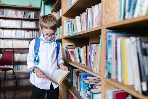 Imagine de stoc gratuită din băiat caucazian, bibliotecă, citind o carte