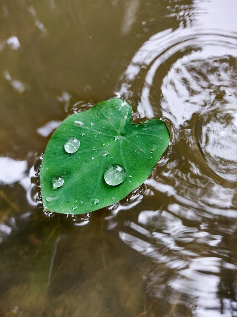 WBI - Wallonie Bruxelles International - Photo 3