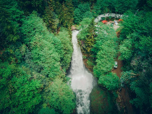 Foto profissional grátis de aerofotografia, água corrente, árvores verdes