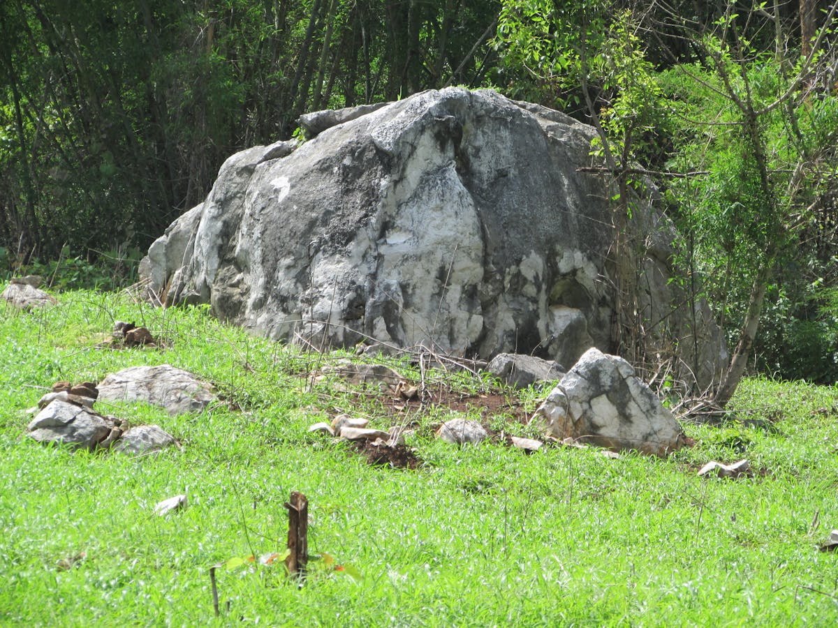 Ғылыми жоба