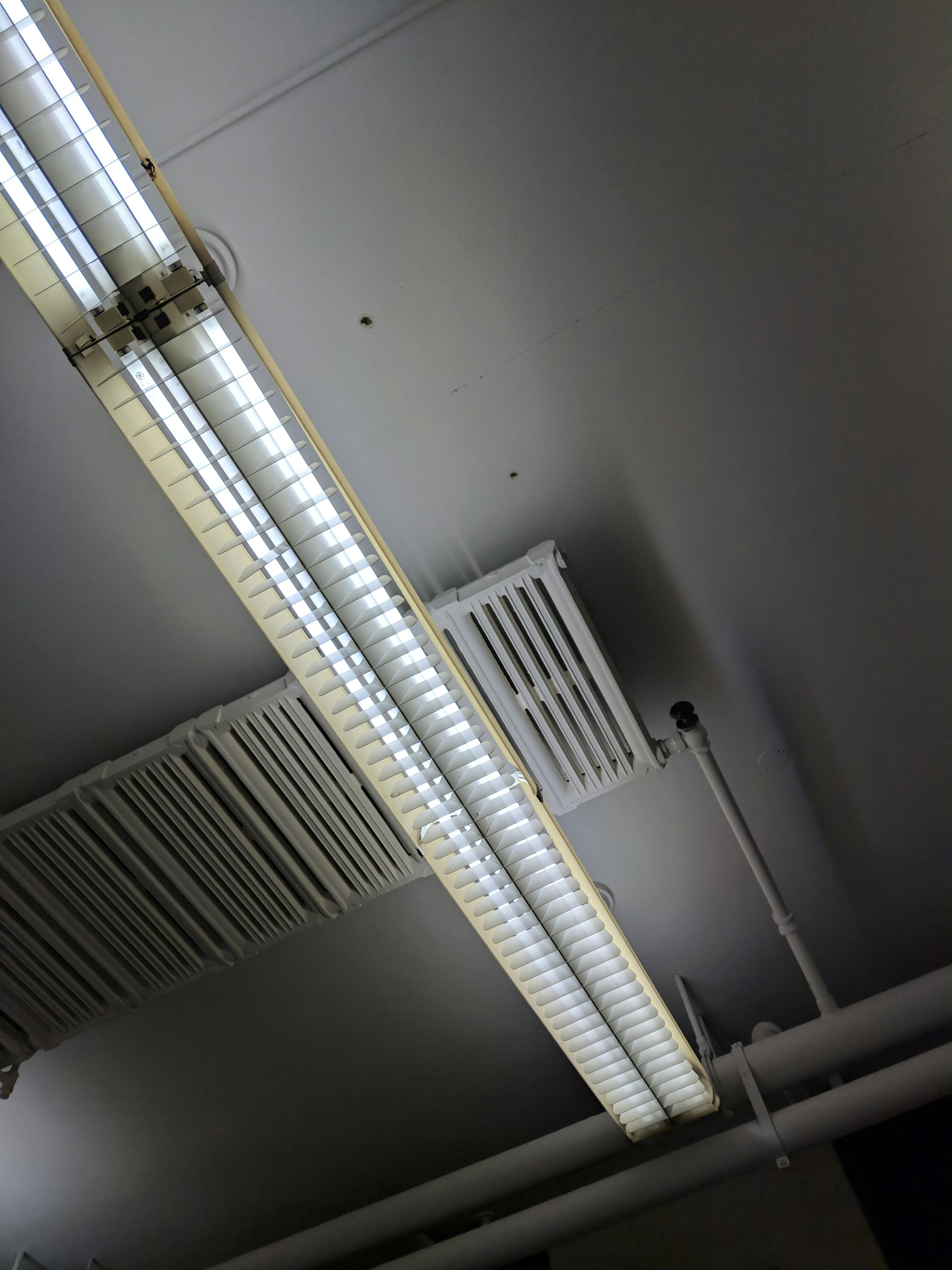 Free stock photo of architecture, ceiling, ceiling lights