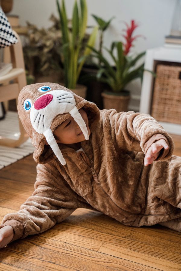 Animal fancy dress costume rental for kids