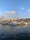 White Sail Boats on Sea