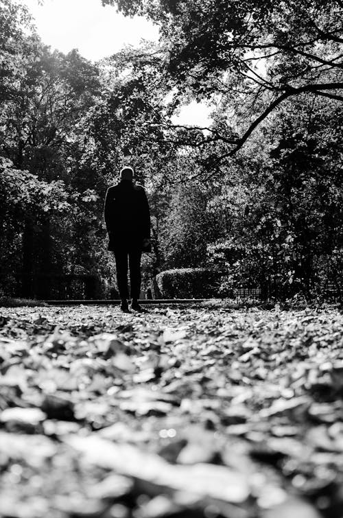 Grayscale Photo of a Person Walking on Leaves