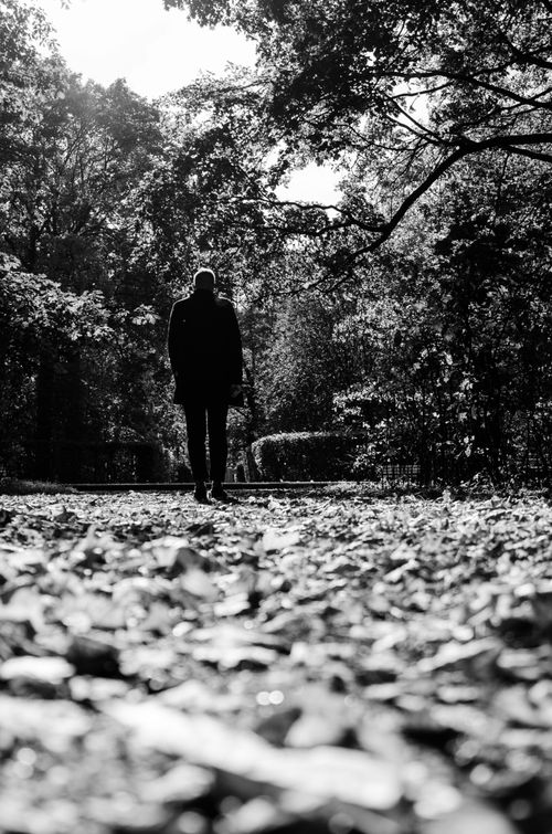 Free Silhouette of a man walking on a leaf-covered path in a forest, captured in black and white. Stock Photo