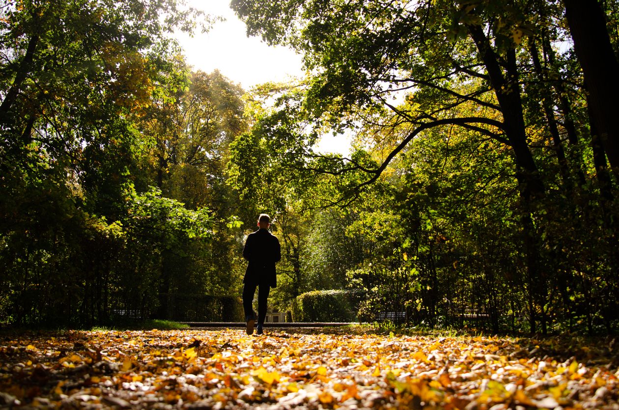 A person walking alone on a quiet path in autumn light, thinking.