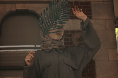 Foto profissional grátis de cobrindo o rosto, folha de palmeira, hijab