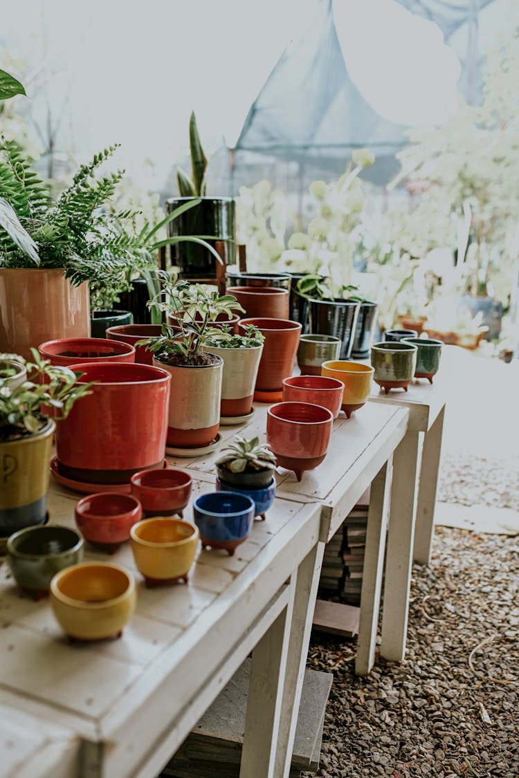 Colorful Pots On Tables