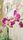 orchid