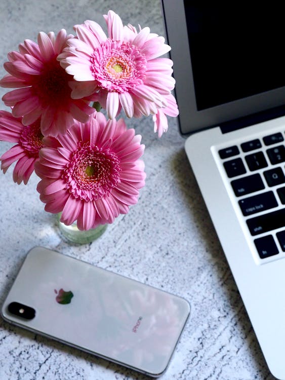 iPhone plateado boca abajo sobre una mesa junto a flores rosas en un jarrón.