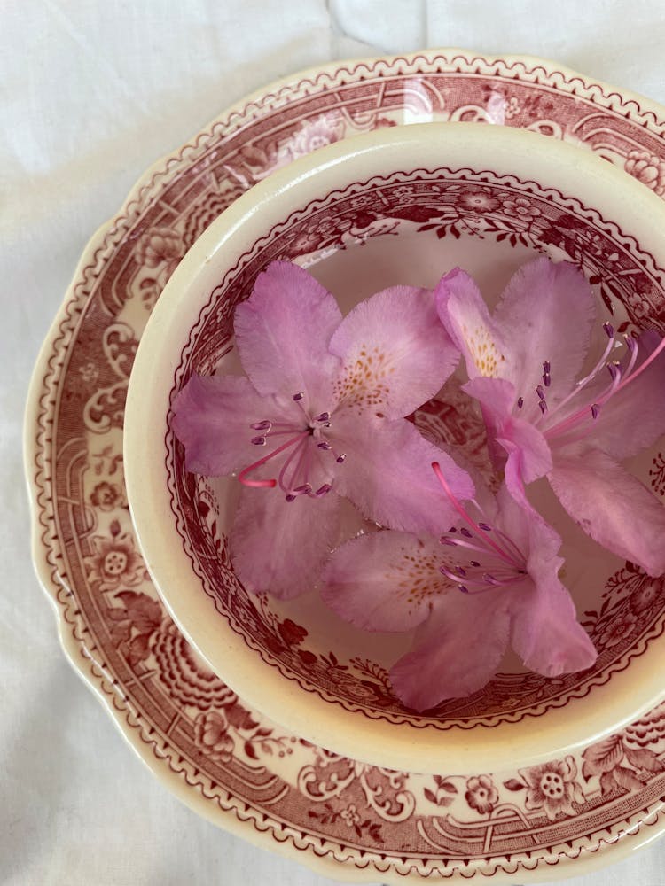 Purple Flowers Soaked In Water