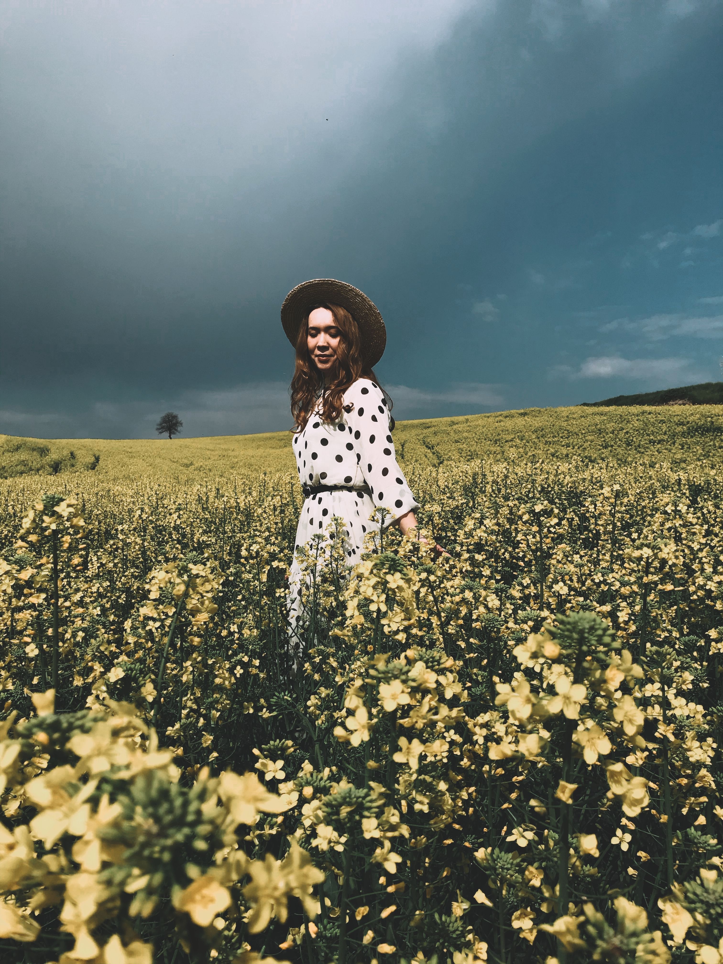 Woman in White Polka Dot Dress Standing on the Flower Field · Free ...