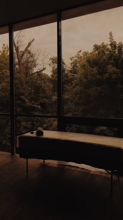 View of the Forest Through a Big Window 