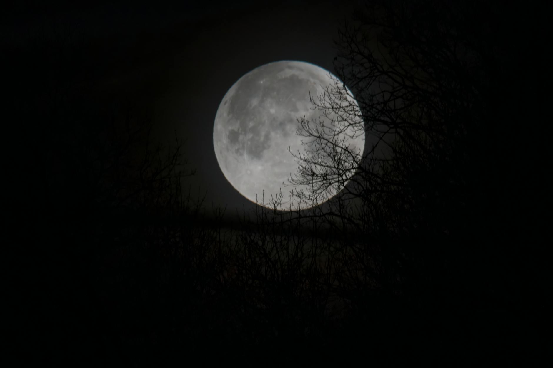 Free stock photo of moon, super blue moon