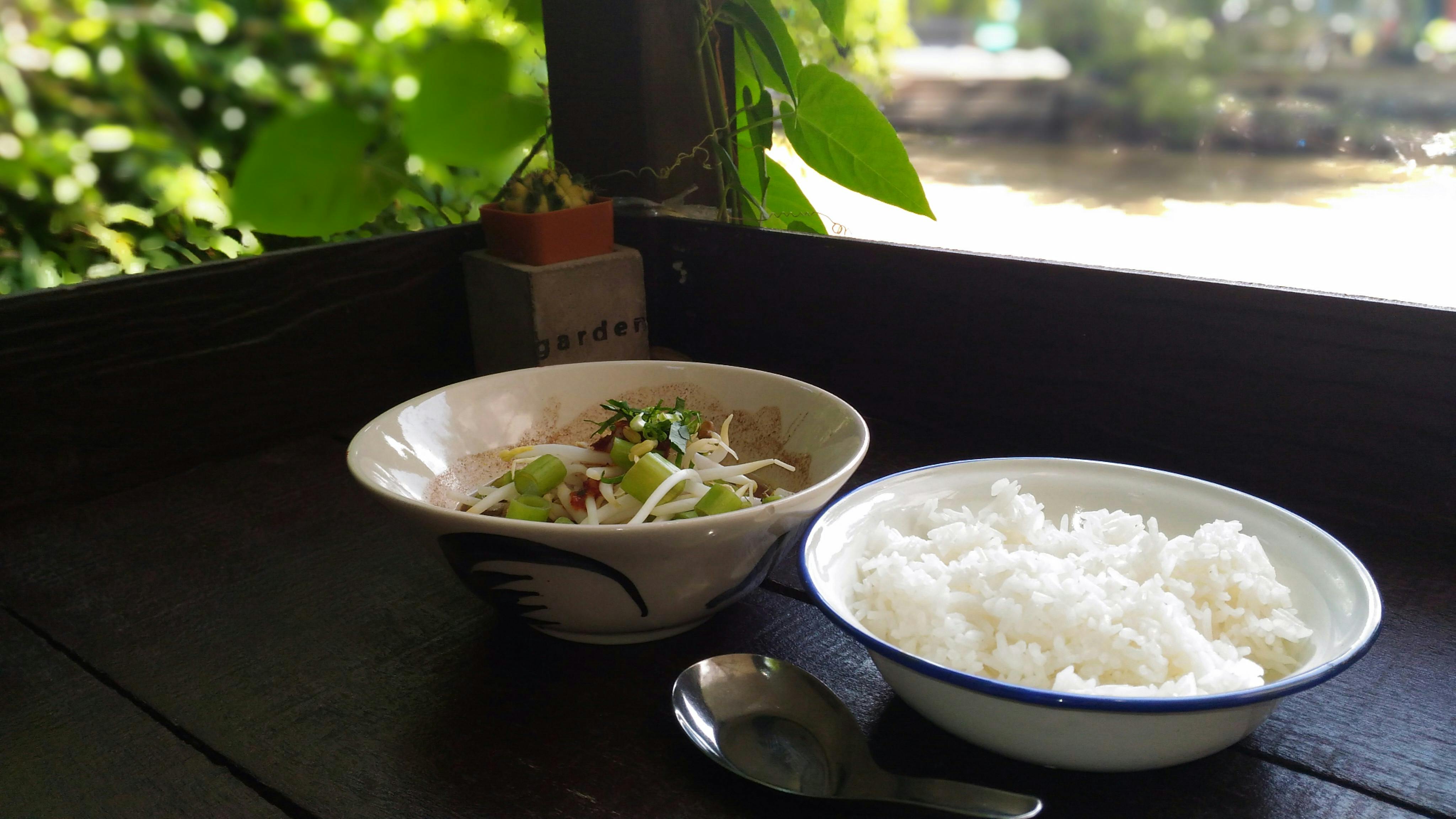 Free stock photo of asian food, rice, rice dish